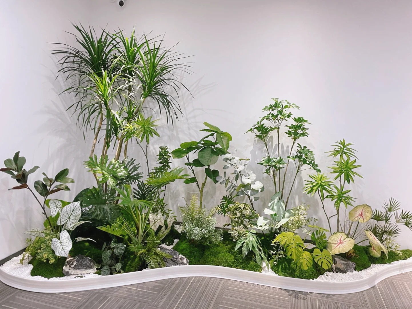 专业江北盆景出租，打造别具一格的室内外景观